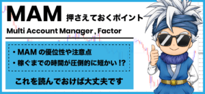 FXのMAM運用したい方必見の押さえるべき3つのポイントとは?